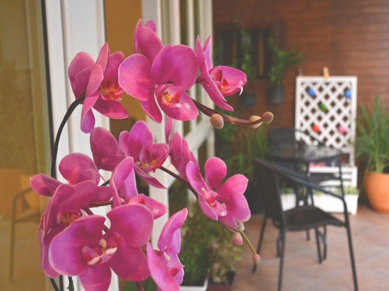 Seedling House Pattaya Eksteriør bilde