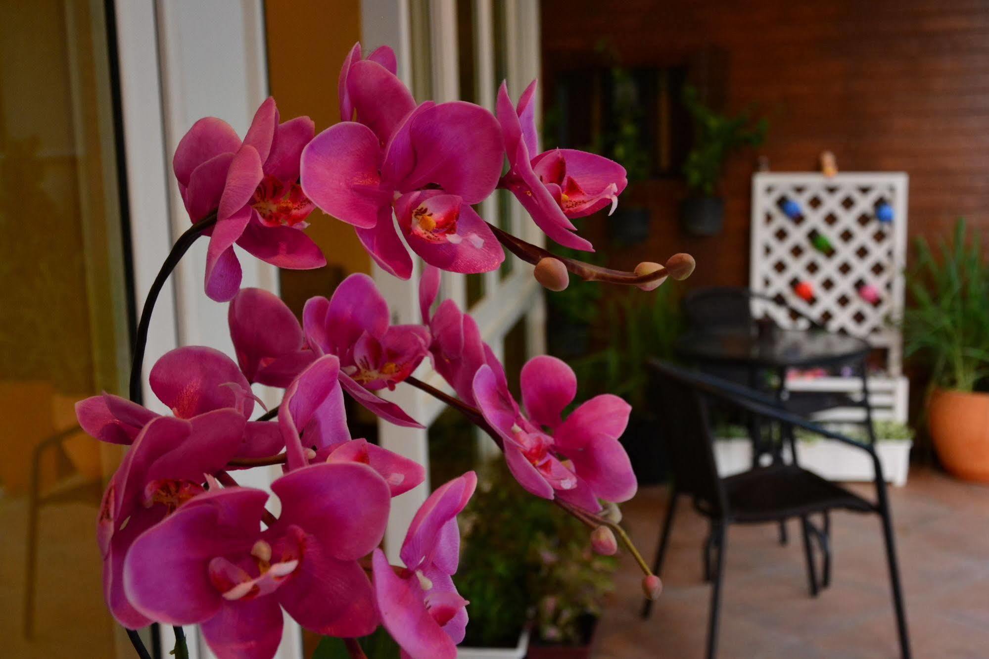 Seedling House Pattaya Eksteriør bilde